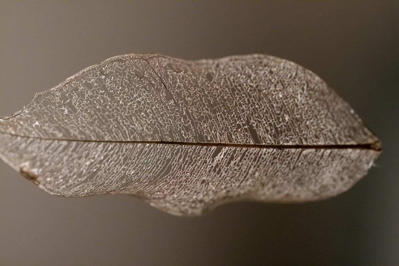 Motiv von Peter Kober