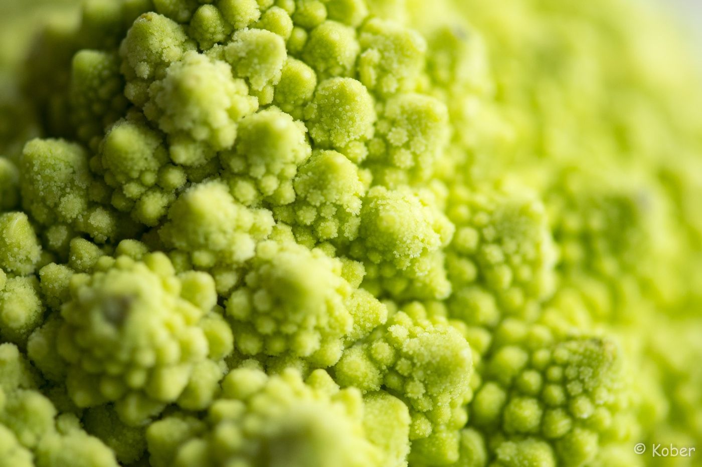 Romanesco, Fraktal