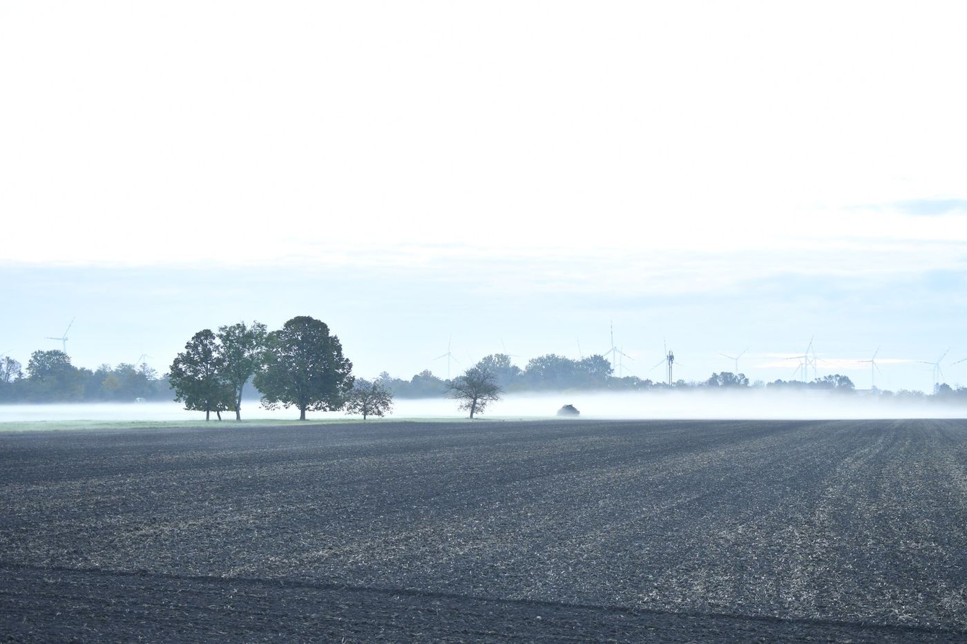 Morgennebel