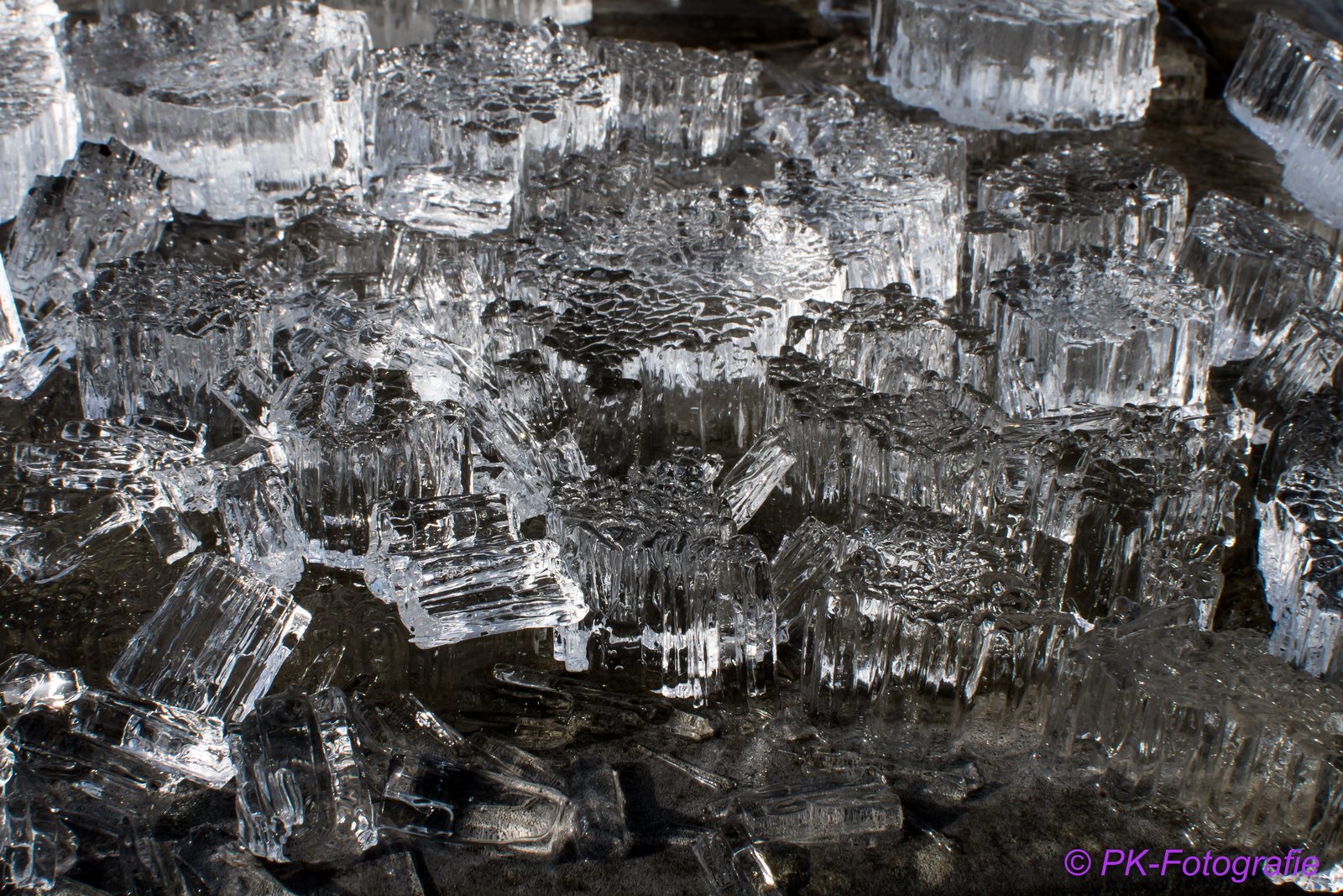Eiskristalle, fotografiert von Peter Kober
