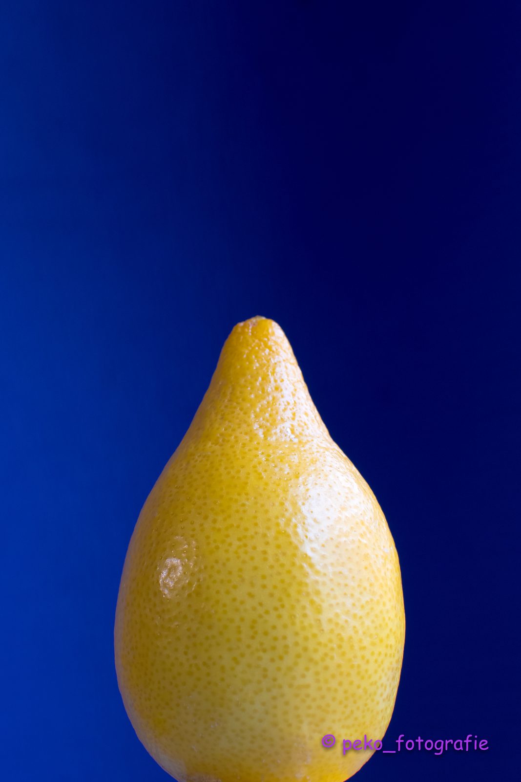 Zitrone auf Blau, fotografiert von Peter Kober